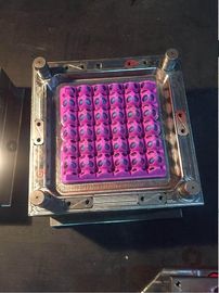 Máquina de poupança de energia feita sob encomenda da modelação por injeção para o molde plástico da bandeja do ovo